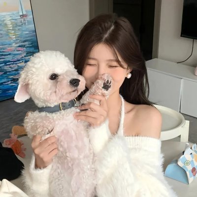 三只小猪
